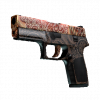 P250 | Роспись